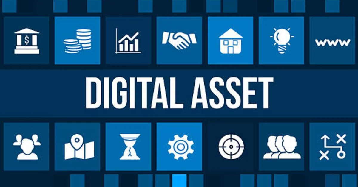 Biitland.com Digital Assets