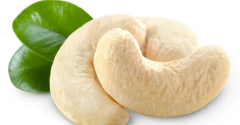 Cashew Nut