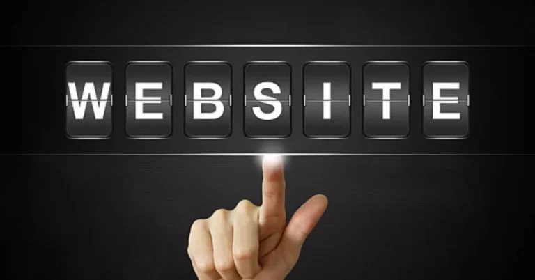 Website Visitors