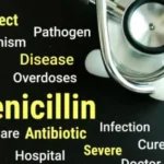 Strepto Penicillin